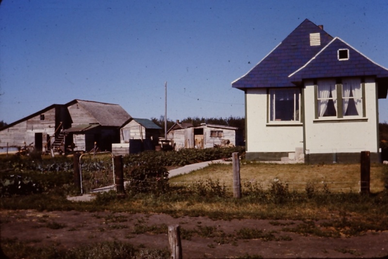 1960 home.jpg